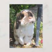 Stuur iemand wat vriendelijkheid met deze kleine m aankondigingskaart (Voorkant)