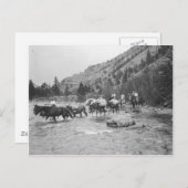 Stuurgroepmodules over een rivier briefkaart (Voorkant / Achterkant)