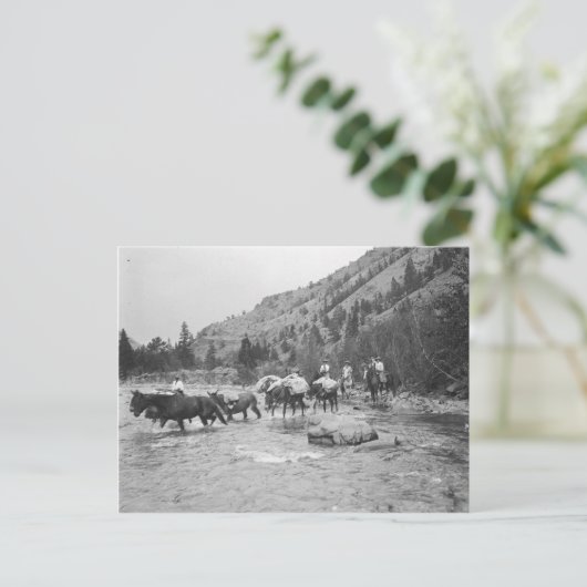 Stuurgroepmodules over een rivier briefkaart (Staand voorkant)