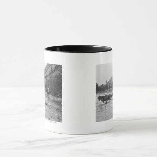 Stuurgroepmodules over een rivier mok (Midden)