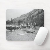 Stuurgroepmodules over een rivier muismat (Met muis)