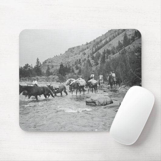 Stuurgroepmodules over een rivier muismat (Met muis)