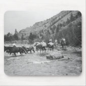 Stuurgroepmodules over een rivier muismat (Voorkant)