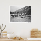 Stuurgroepmodules over een rivier poster (Keuken)