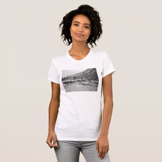 Stuurgroepmodules over een rivier t-shirt (Voorkant volledig)