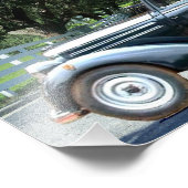 Stuurprogramma Miss Daisy Pacific Parrotlets Foto Afdruk (Hoek)