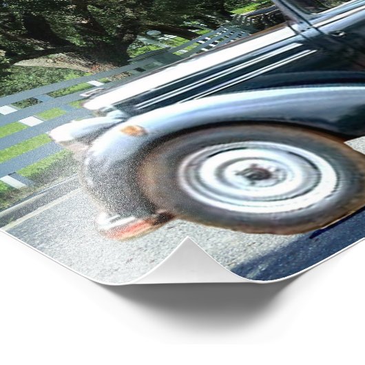 Stuurprogramma Miss Daisy Pacific Parrotlets Foto Afdruk (Hoek)