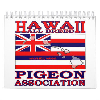 Stuurrooster 2009 kalender