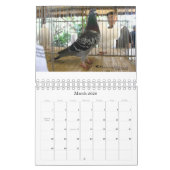 Stuurrooster 2009 kalender (Mar 2026)