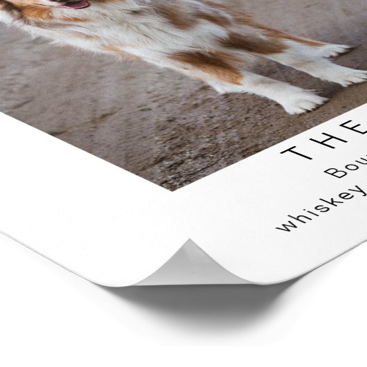 stuurstaafje voor retropet-handtekening poster (Hoek)