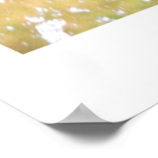 STUURTIGERS POSTER (Hoek)