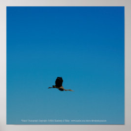 Stuurwiel Poster