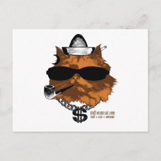 Stuwwerk op mijn kat - 2 kewl briefkaart