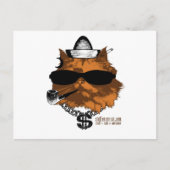 Stuwwerk op mijn kat - 2 kewl briefkaart (Voorkant)