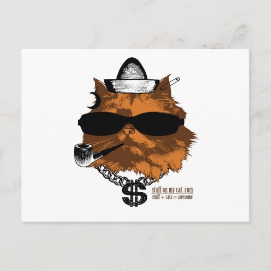 Stuwwerk op mijn kat - 2 kewl briefkaart (Voorkant)