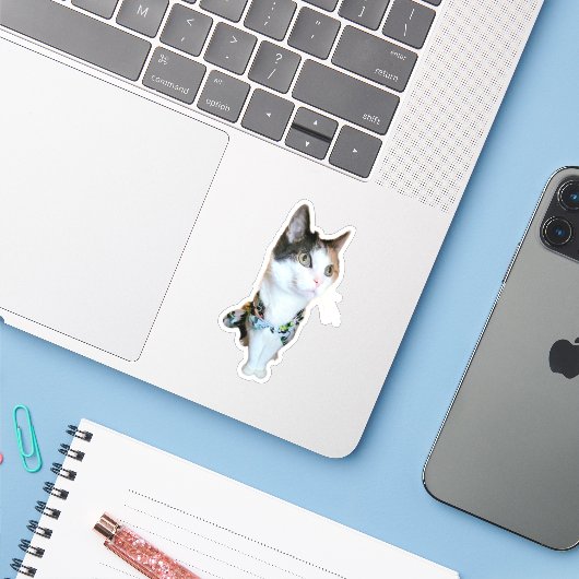 Stylish Cat Funny Sticker (Laptop met iPhone)