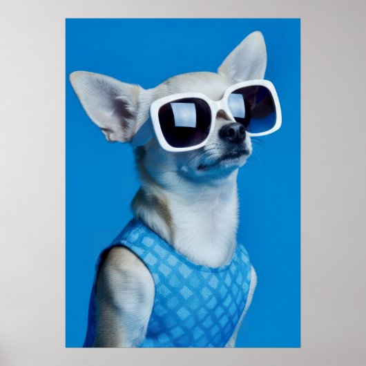 Stylish Chihuahua in Sunglasses Poster (Voorkant)