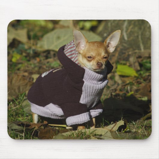 Stylish Chihuahua Muismat (Voorkant)