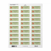 Stylish Coral Poinsettia Green Address Label (Full Sheet)