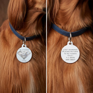 Stylish Diamond Jewelry Personalized Round Pet Tag Huisdierpenning