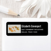 Stylish Gold Koi Fish Etiket (Insitu)