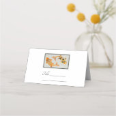 Stylish Gold Koi Fish Plaatskaartje (Voorkant)