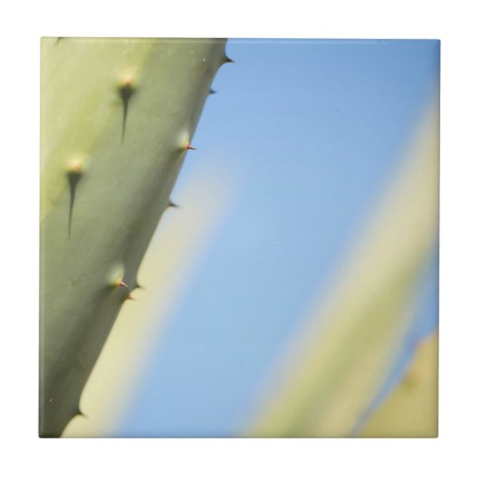 Stylish Green Aloe Blue Sky Espresso Tegeltje (Voorkant)