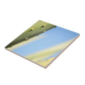 Stylish Green Aloe Blue Sky Espresso Tegeltje (Zijkant)