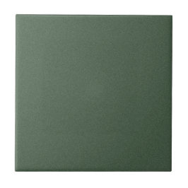 Stylish Green Texture Ceramic Tile for Walls Tegeltje