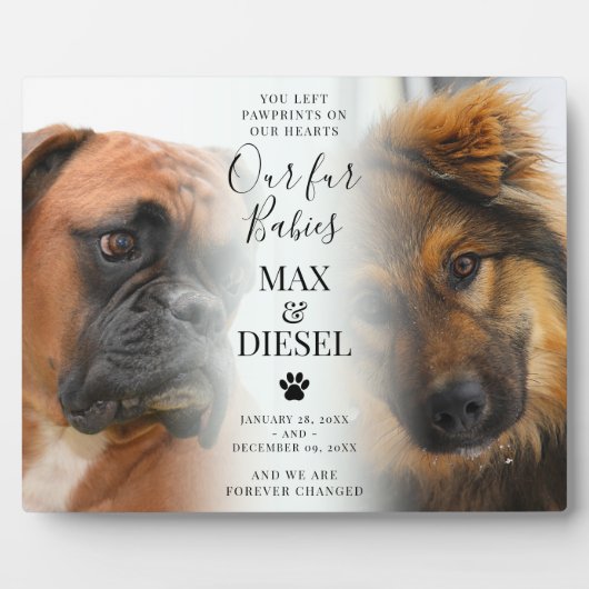 Stylish Pet Memorial 2 Dog Foto Fotoplaat (Voorkant)