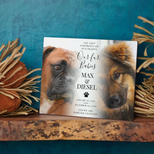 Stylish Pet Memorial 2 Dog Foto Fotoplaat (Zijkant)