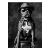 Stylish Pitbull with Hat and Sunglasses Perfect Poster (Voorkant)