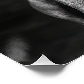 Stylish Pitbull with Hat and Sunglasses Perfect Poster (Hoek)