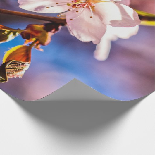 Stylish Sakura Blossom Cadeaupapier (Hoek)