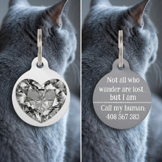 Stylish Silver Diamond Dog Cat Call ID Lost Tag Huisdierpenning