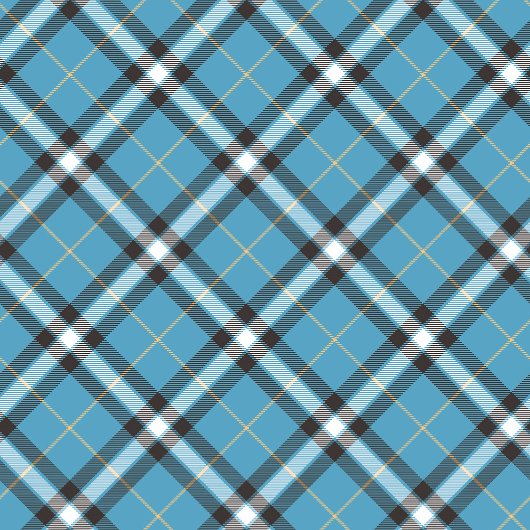 Stylish Tartan Shower Curtain Great Gift for Guys Douchegordijn