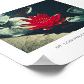 Stylized Red Green Water Lily Flower Plants Poster (Hoek)