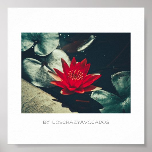 Stylized Red Green Water Lily Flower Plants Poster (Voorkant)