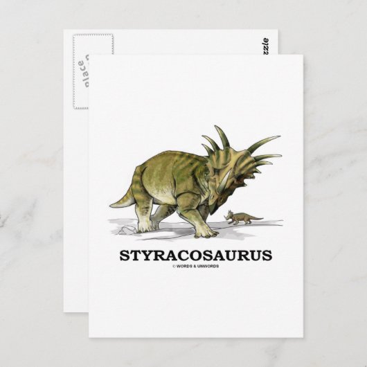 Styracosaurus Briefkaart (Voorkant / Achterkant)
