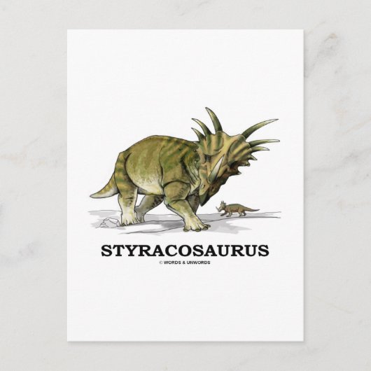 Styracosaurus Briefkaart (Voorkant)