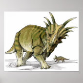 Styracosaurus - Cretacous Dinosaur Poster (Voorkant)