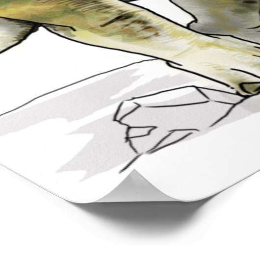 Styracosaurus - Cretacous Dinosaur Poster (Hoek)