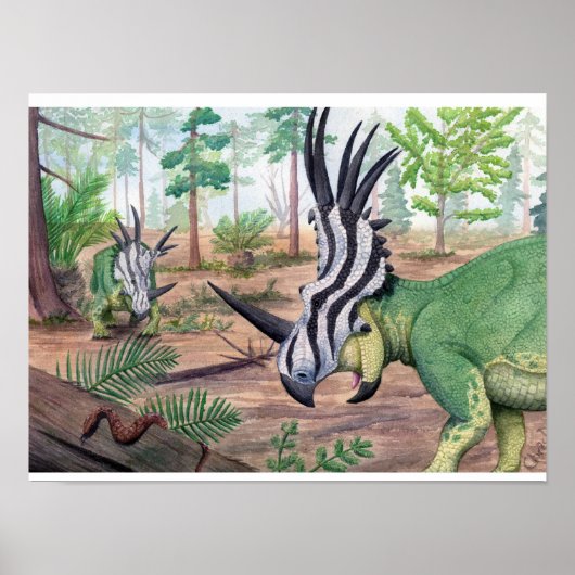Styracosaurus Print (Voorkant)