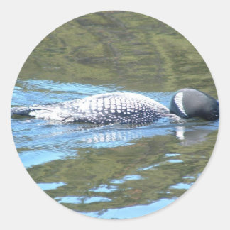 Sub Surface Sleuth Ronde Sticker