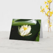 Sublieme Waterlily Kaart (Gele Bloem)