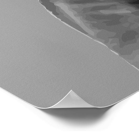 Subsidie Poster (Hoek)