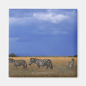 Subsidie Zebra 2 Magneet (Voorkant)