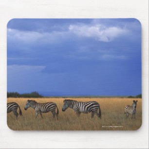 Subsidie Zebra 2 Muismat
