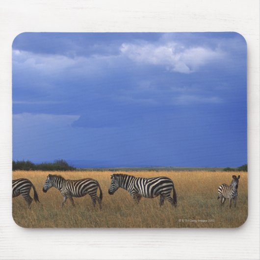 Subsidie Zebra 2 Muismat (Voorkant)