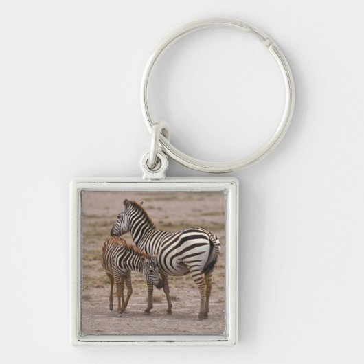 Subsidie Zebra 3 Sleutelhanger (Voorkant)